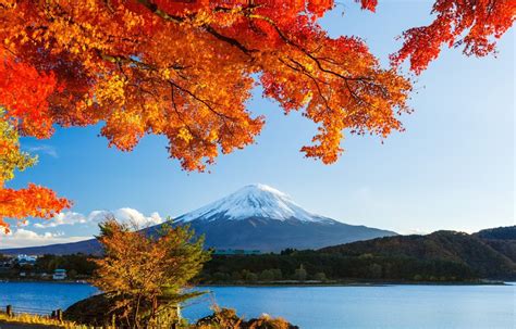 7 กิจกรรมยอดฮิตของคนญี่ปุ่นยามใบไม้เปลี่ยนสี | All About Japan