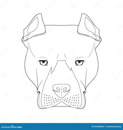 Detalle 41 Imagen Dibujos De Perros Pitbull Faciles Vn