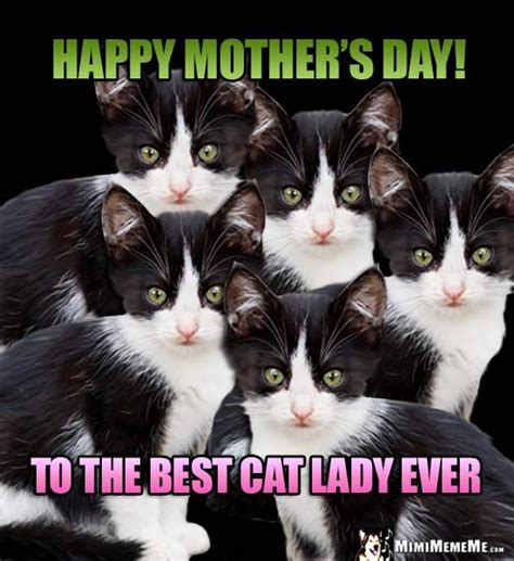 Funny Kitten Siblings Say Happy Mothers Day To The Best Cat Lady