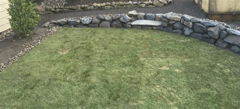 How To Transform A Stressed Yard To A Beautiful Yard Vancouver Wa
