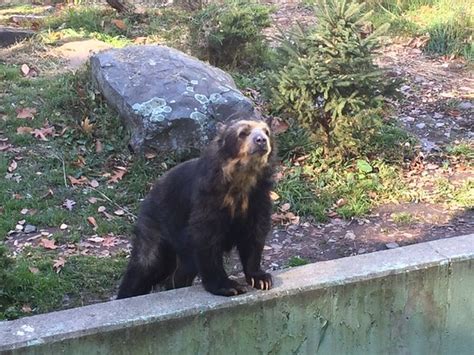 Ross Park Zoo Binghamton Ny Top Tips Before You Go Tripadvisor