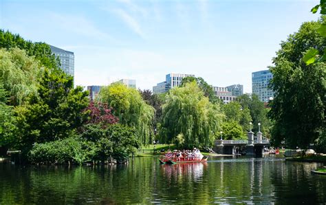 10 Fun Things To Do In The Boston Public Garden Swan Boat Rides
