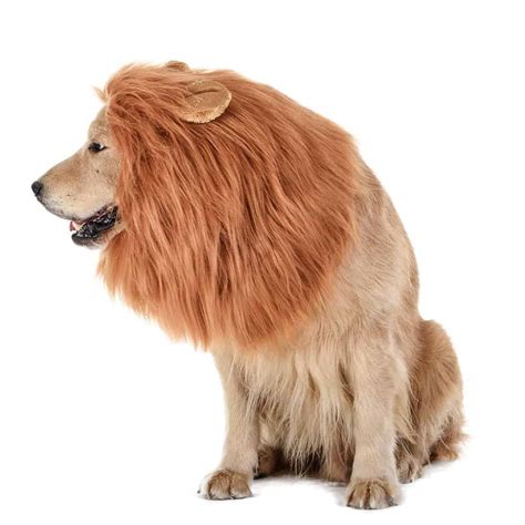 45 days money back guarantee. Creative Small and Large Dog Costumes for Every Occasion ...