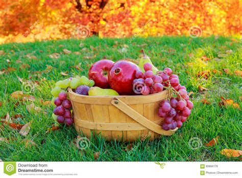 Autumn Still Life With Fruits In A Wicker Basket And Apples Pears