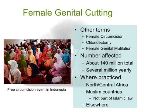 Female Genital Cutting Diagram Quizlet