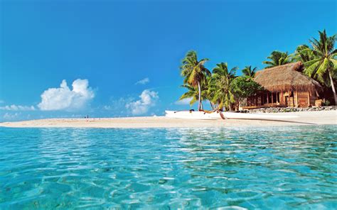 Tropical Beach Background 64 Images