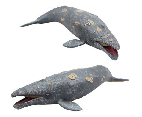 Gray Grey Whale Sealife Toy Model Figure By Collecta 88836 Brand New Ebay