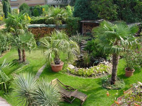 Maybe you would like to learn more about one of these? Garten 'mediterraner Garten' - Gartenfreude - Zimmerschau