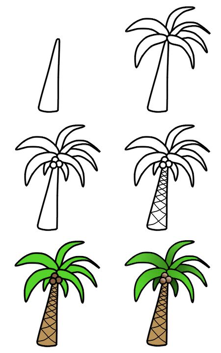 Start the drawing of the palm tree with the outlines of the leaves. How to draw palm trees | Desenho palmeira, Arvore desenho ...