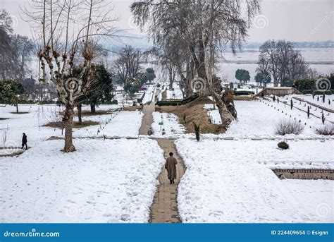 The Landscape Of Nishat Bagh Mughal Garden During Winter Season
