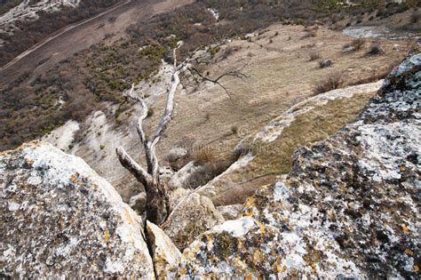 Ancient Cave City In The Rock In Crimea In Autumn Stock