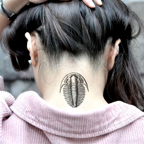 Trilobite Temporary Tattoo Sticker set of 2 - Etsy