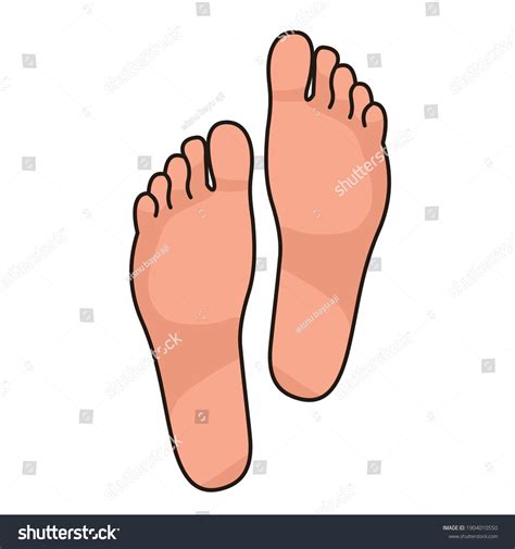 Bare Foots Illustration Vector Design Stock Vector Royalty Free