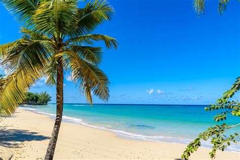14 Best Beaches In Barbados Celebrity Cruises