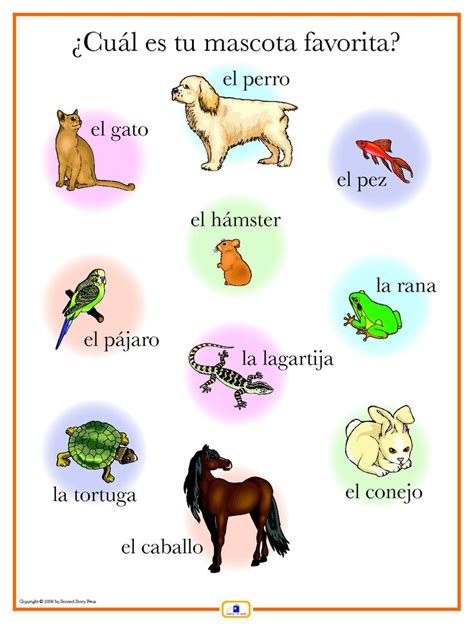 Spanish Pets Poster Learning Spanish Teaching Posters Learn French