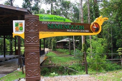Pusat konservasi penyu pantai kerachut penang. 9 Tempat Menarik Di Sarawak - TinHijau