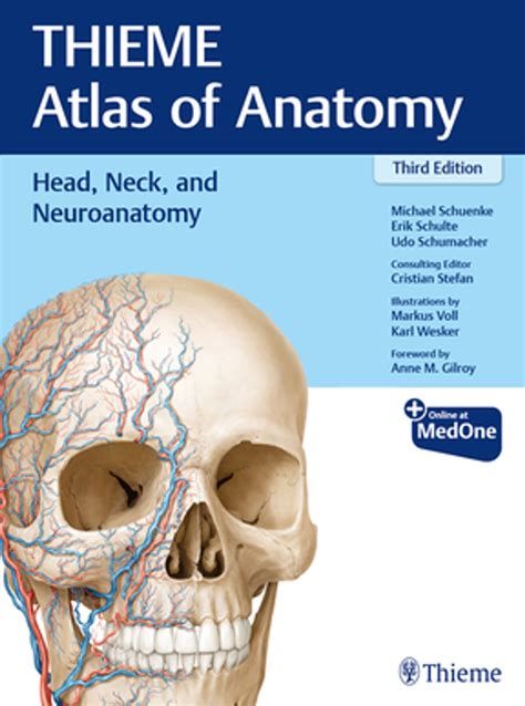 Head Neck And Neuroanatomy Thieme Atlas Of Anatomy Ebook