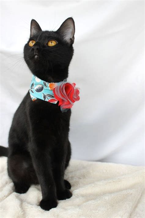 This Is A Cute Cat Collar For Girl Cats With Red And Orange Apples All