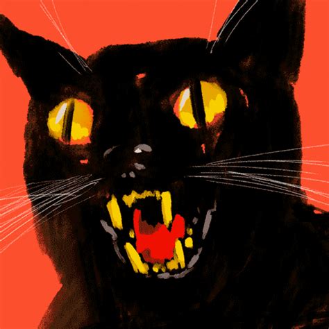 Animated Black Cat Halloween