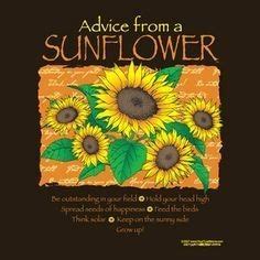 Check spelling or type a new query. Sunflower Sayings And Quotes. QuotesGram in 2020 ...