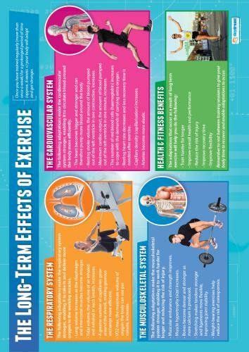 The Longterm Effects Of Exercise Physical Education Chart In High Gloss