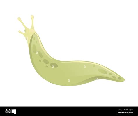 Green Slug Cartoon Animal Design Flat Vector Illustration Isolated On