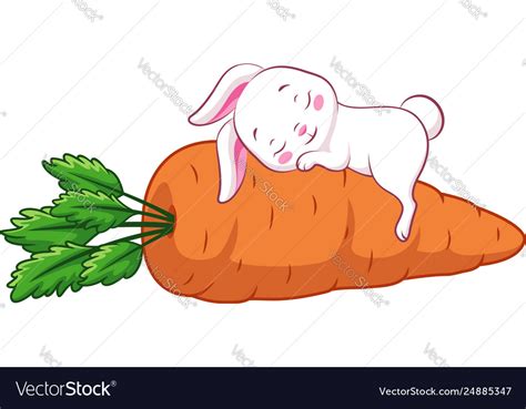 Sleeping Rabbit Royalty Free Vector Image Vectorstock