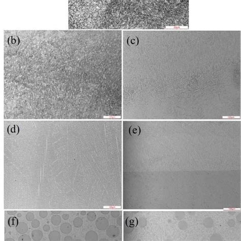 Metallographic Structure Of Three Cladding Layers And Substrate A H13