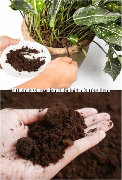 Coffee grounds have many uses that can boost your garden and flower beds, just like it gives you a boost when you drink the coffee itself! 15 Organic DIY Garden Fertilizer Recipes That'll Beautify ...