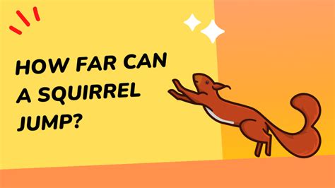 How Far Can A Squirrel Jump Squirrel Savvy