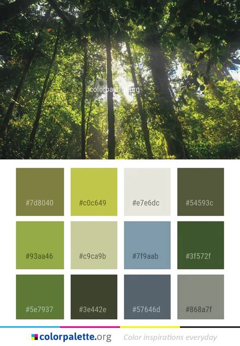 Vegetation Nature Forest Color Palette