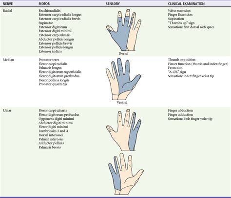 Wrist And Forearm Anesthesia Key