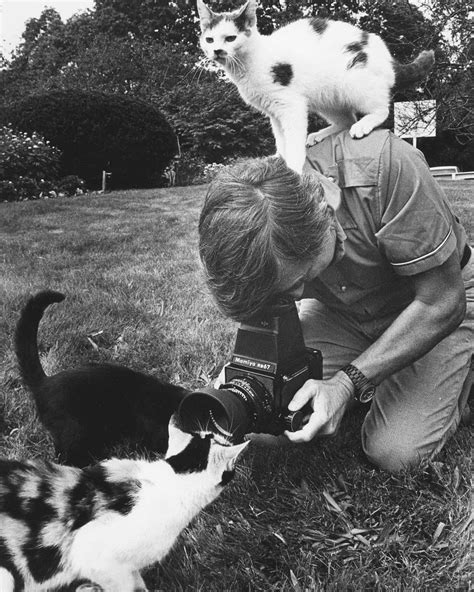 The Cat Photographer Walter Chandoha