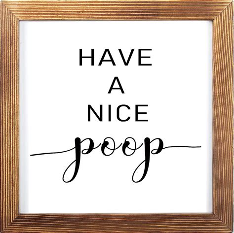 Buy Yinuowei Have A Nice Poop Bathroom Sign Funny Farmhouse Sign Wall