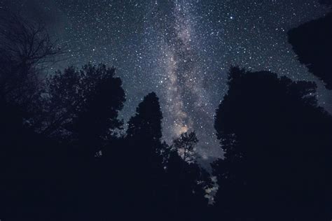 Wallpaper Trees Landscapes Starry Sky Free Pictures On Fonwall