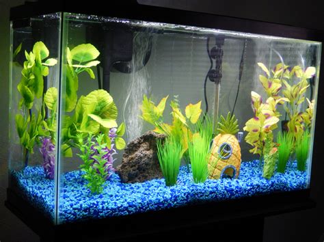 Setting Up A Freshwater Aquarium Nuclear Projects The Blog
