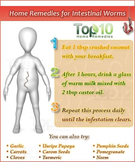 Home Remedies For Intestinal Worms Top 10 Home Remedies