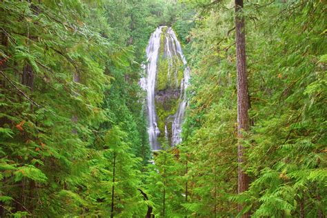 Proxy Falls In Willamette National Forest Oregon United States Of