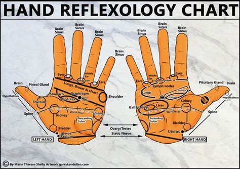 1300bywebhands 1 Hand Reflexology Reflexology Chart Reflexology