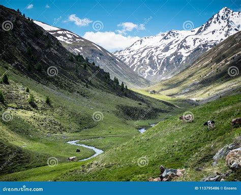 Italian Alps Lombardy Alpine Valley With River In The Middle Stock