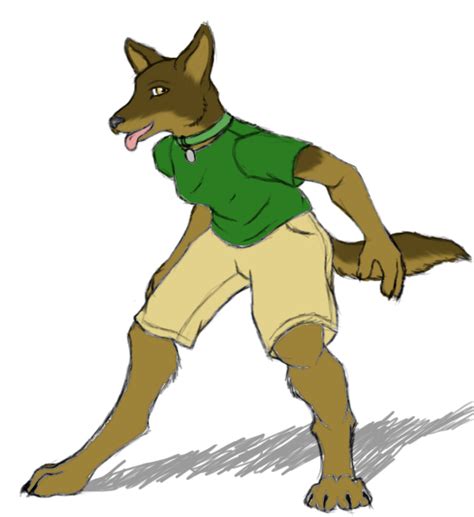 The Big Imageboard Tbib Canine Clothing Color Commission