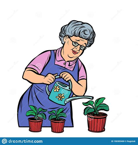 Old Woman Watering Potted Flowers Stock Vector Illustration Of