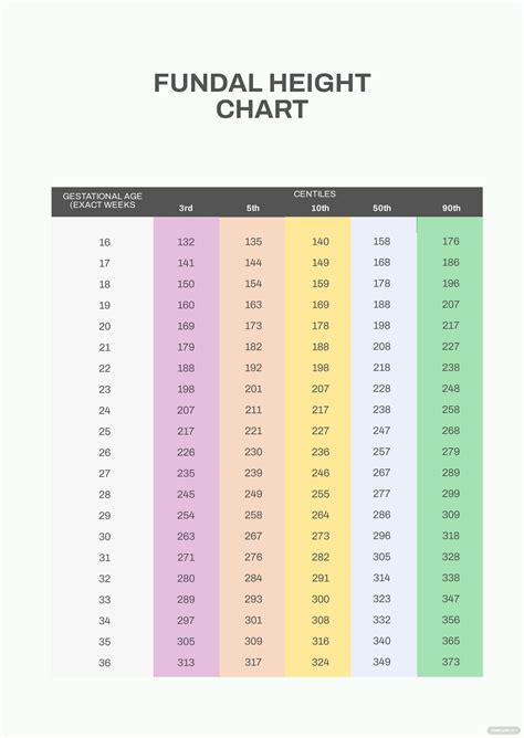 Fundal Height Chart In PDF Download Template Net