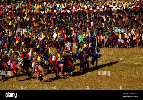 women in traditional costumes dancing at the umhlanga aka reed dance for their king 01 09 2013