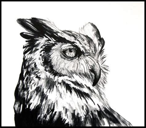 Great Horned Owl Side Profile Art Print By Lindsey Winslow X Small