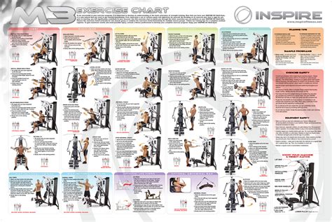 Bowflex Workouts Routines