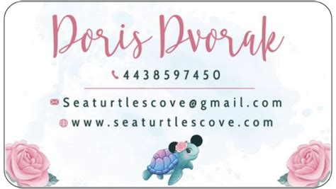 Sea Turtles Cove Seaturtlescove Profile Pinterest