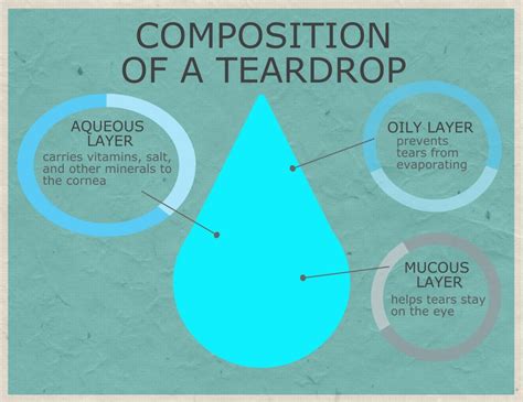 Chemical Composition Of A Teardrop