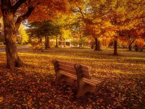 Drury Autumn Color Photograph By Allin Sorenson Fine Art America