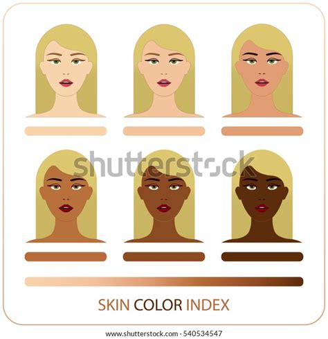 Skin Color Index Infographic In Vector Woman Face With Chart Of Level